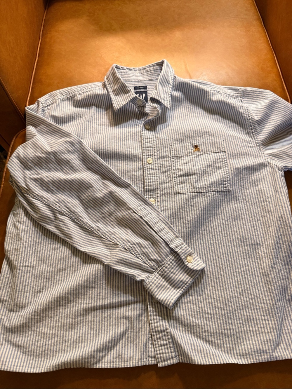 GAP Men's Blue and White Striped Button-Down Oxford Shirt